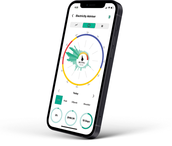 Emerald Electricity Advisor Emerald App phone left