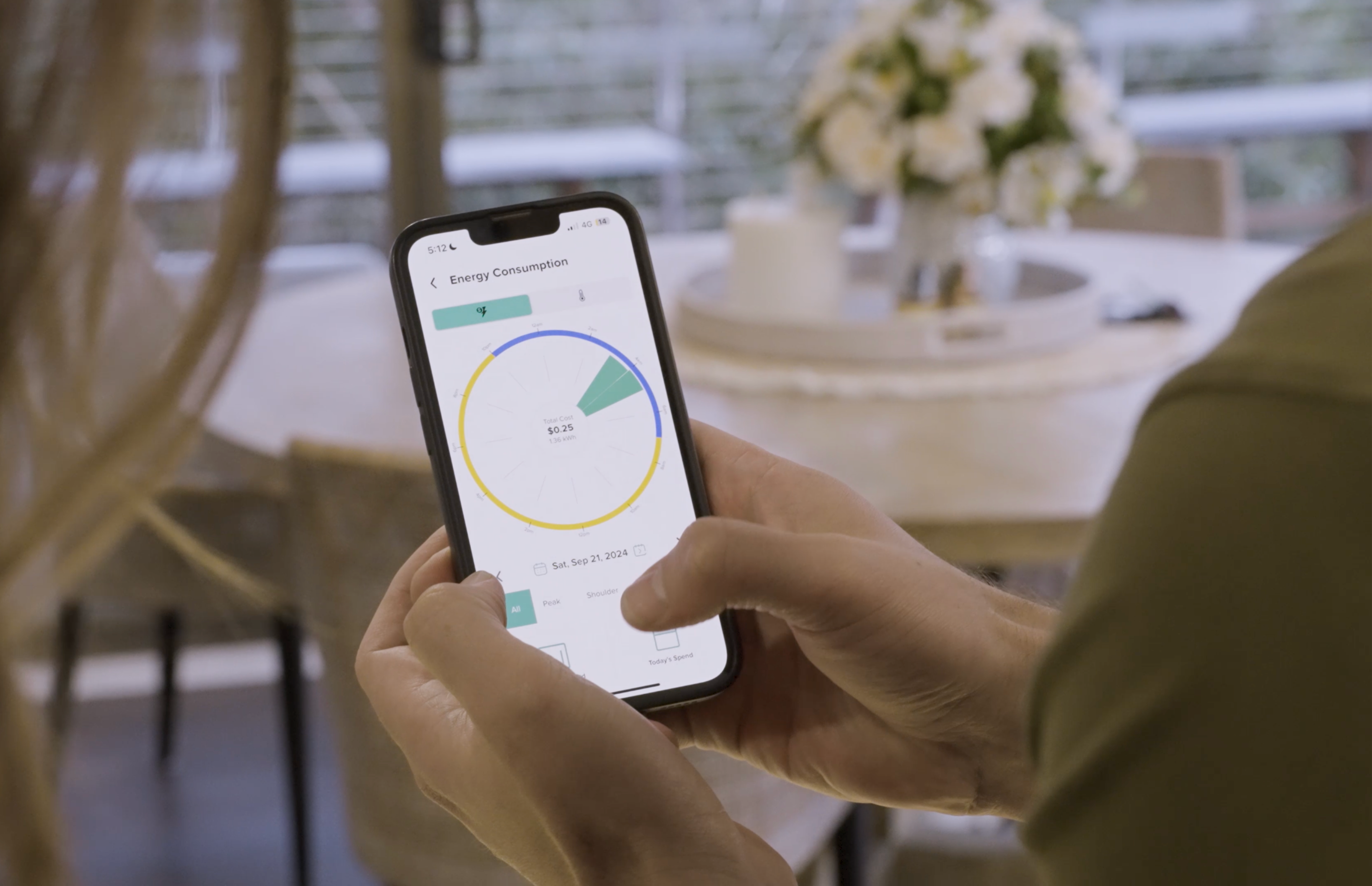 Electrcity Advisor energy consumption data - showing $0.20 usage so far