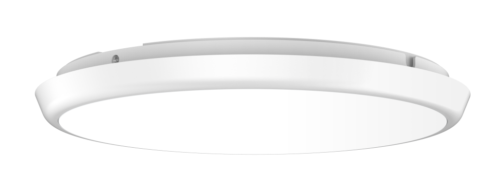 Emerald Oyster lighy 2_300dpi RGB